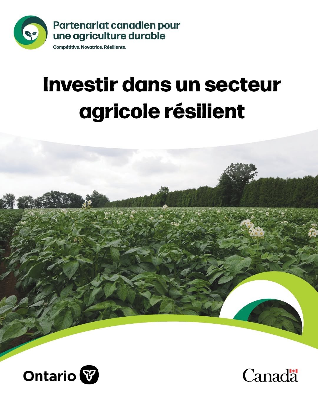Le Canada et l’Ontario investissent 14,6 millions de dollars pour aider les agriculteurs à améliorer les terres agricoles